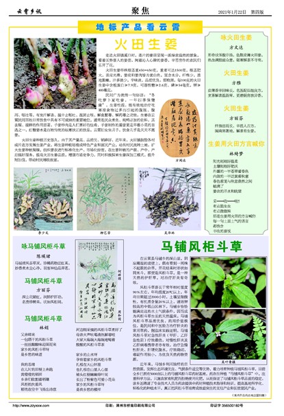 ������Ѷ�۽�