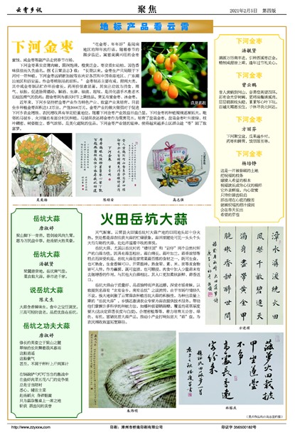 ������Ѷ�۽�