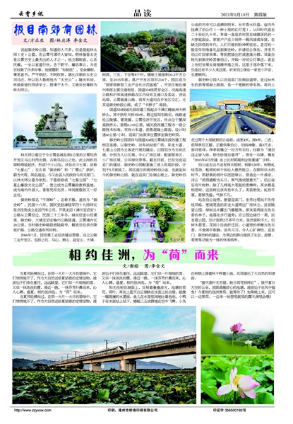 ������ѶƷ��