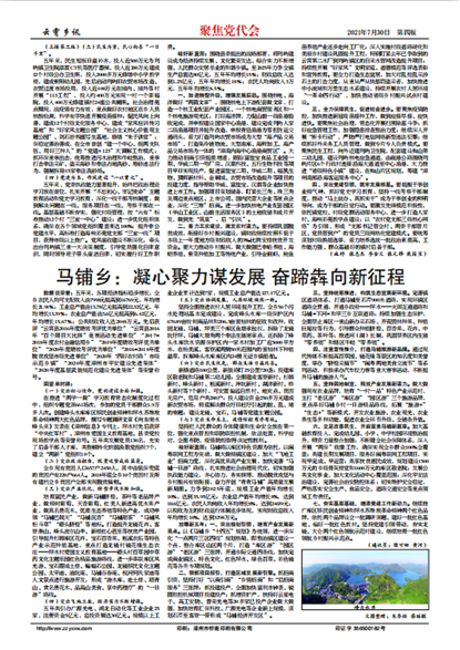 ������Ѷ�۽�������