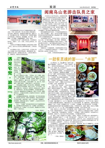 ������Ѷ����