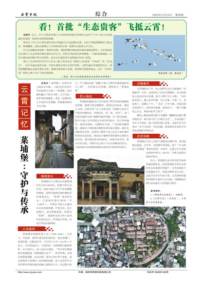 ������Ѷ�ۺ�